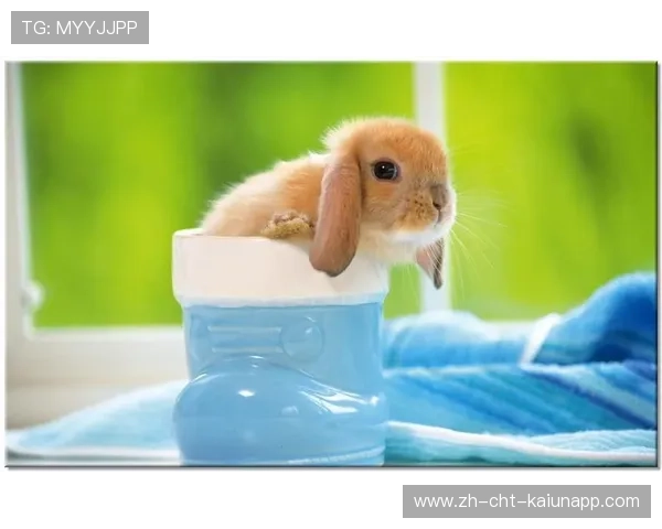 ð¦-¦ðÞÊ¬ð-À¢¤=